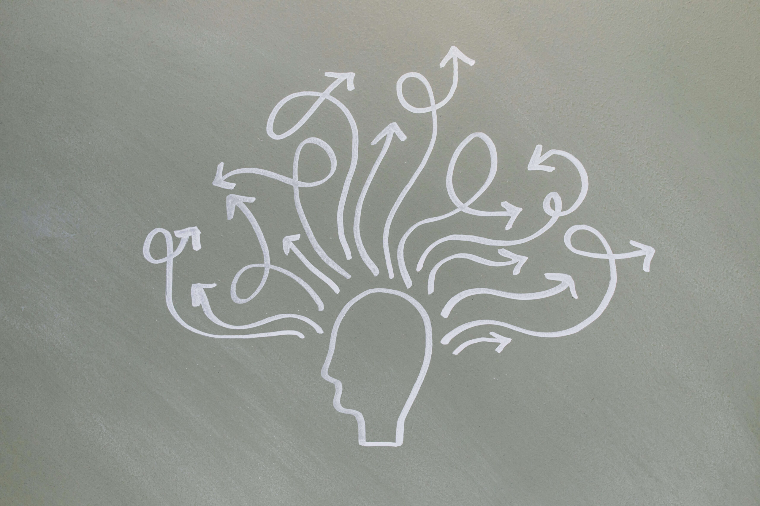 a drawing of a person's mind with arrows representing thoughts and knowledge